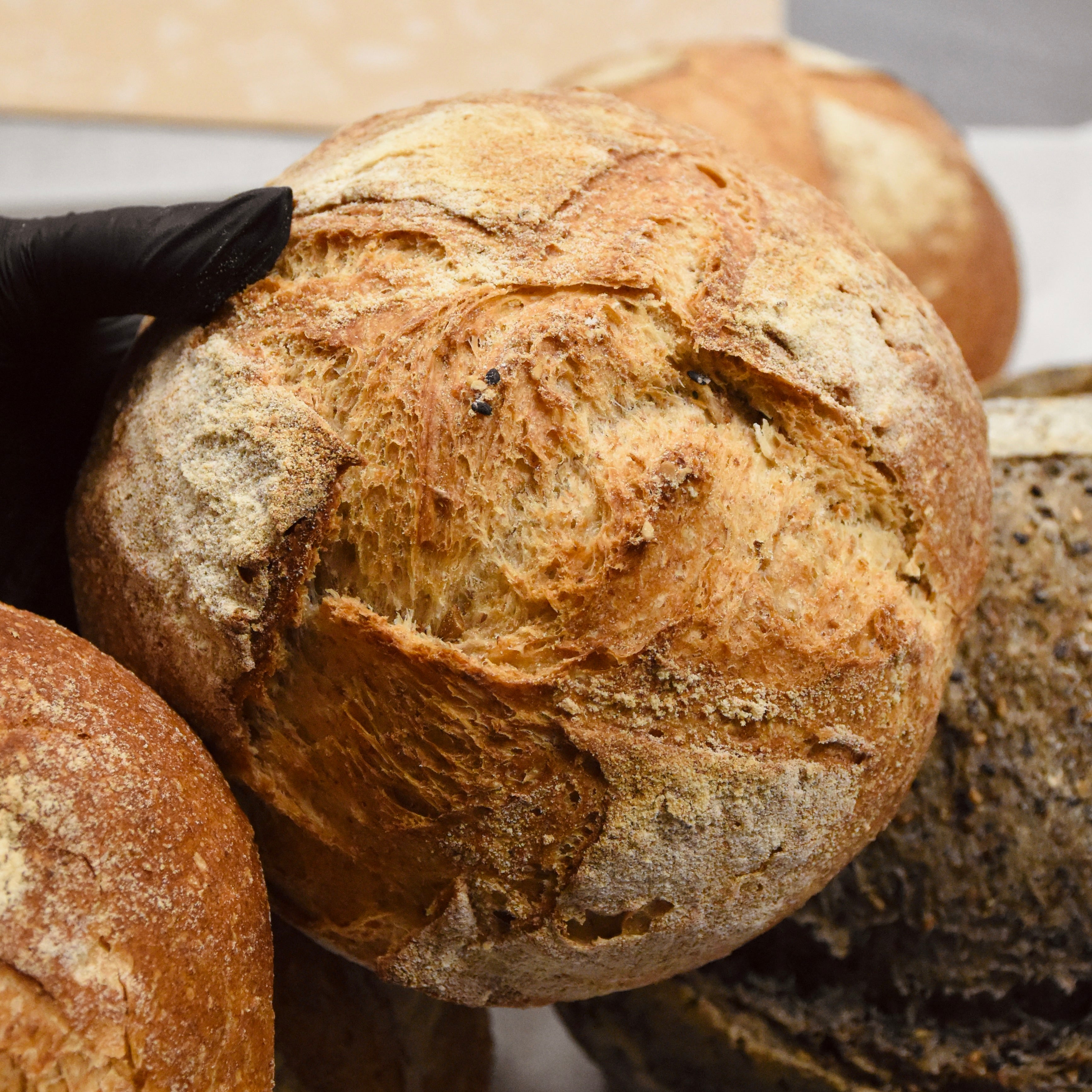 Pane integrale